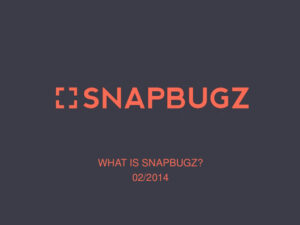 ウェブサイトのデザイン・構成を進める時に利用したい「SNAPBUGZ」のご紹介!!