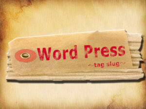 これで1発解決!!タグのスラッグを取得する方法:WordPress