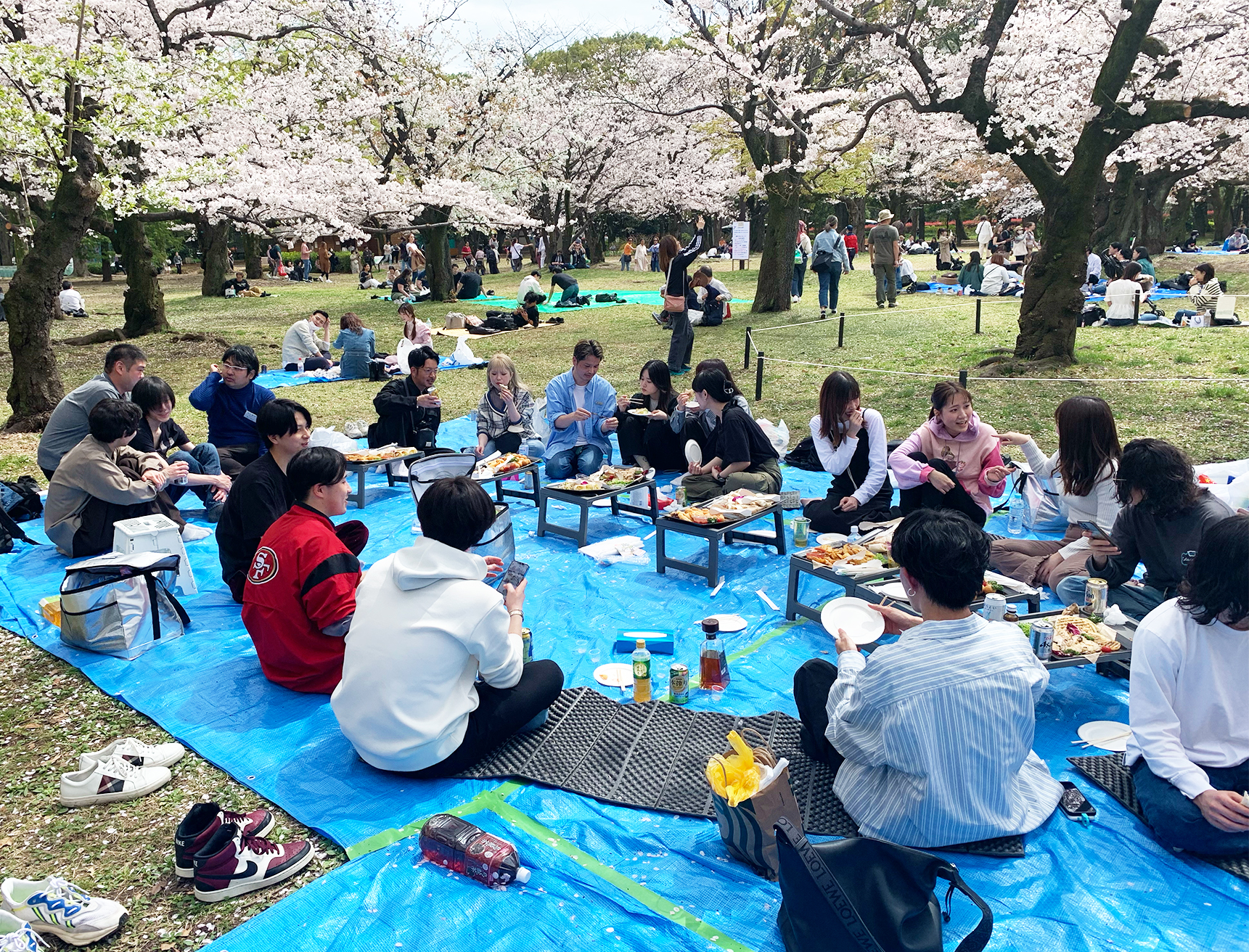 お花見を開催⁂