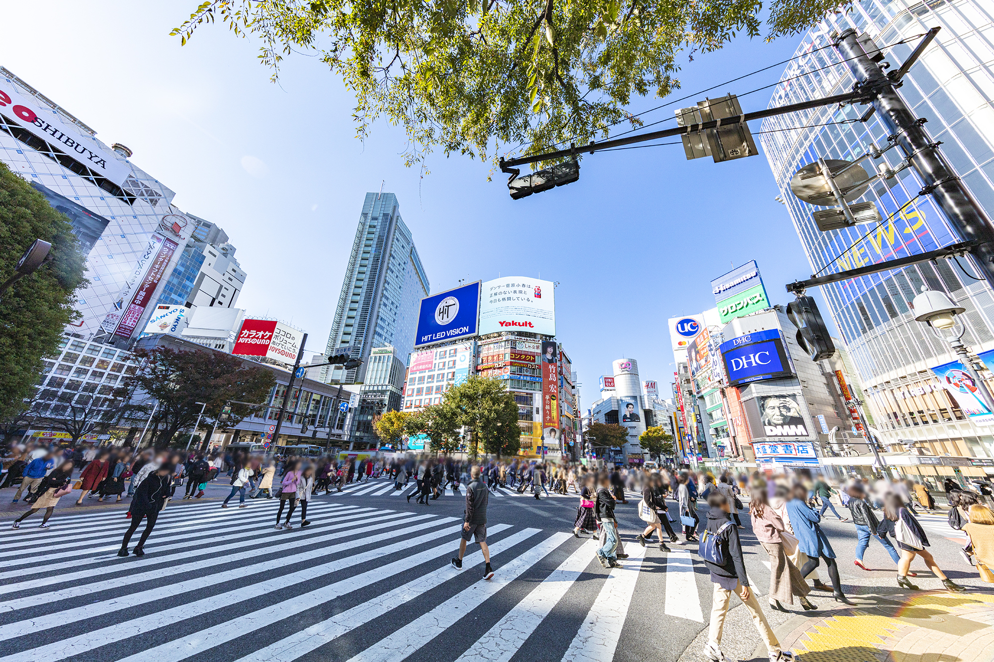 休業のお知らせ【2024年3月29日】